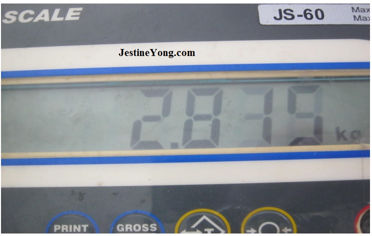fixing electronics scale