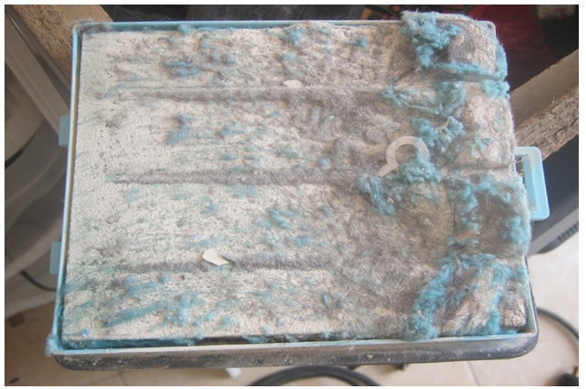 dirty filter in vacuum cleaner create noise